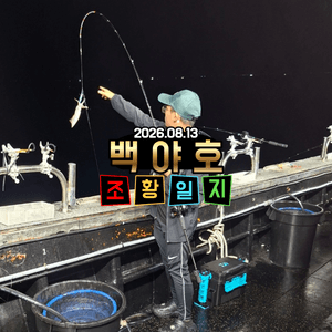 2026.08.03제주 백야호 야간 한치조황 선상낚시로 잡은 물고기 조황