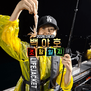 26.08.15 제주 백야호 선상 한치조황 선상낚시로 잡은 물고기 조황