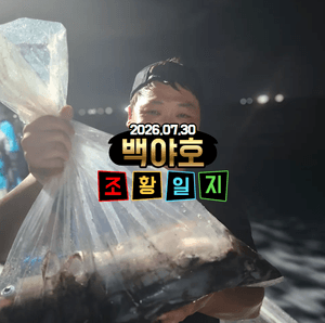 2026.07.30 제주 백야호 선상 한치낚시 선상낚시로 잡은 물고기 조황