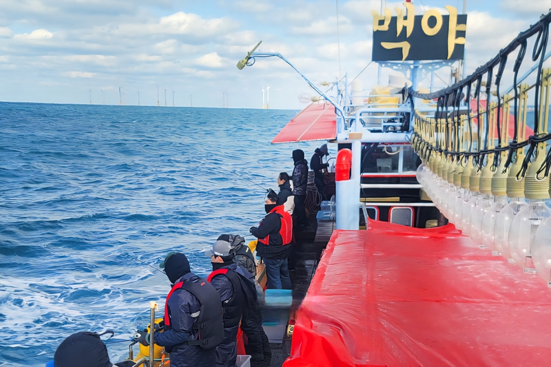 해당 선사를 대표하는 이미지