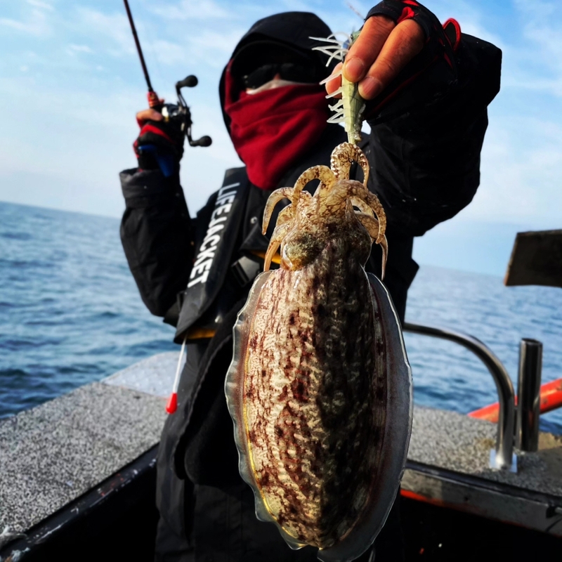 해당 선사를 대표하는 이미지