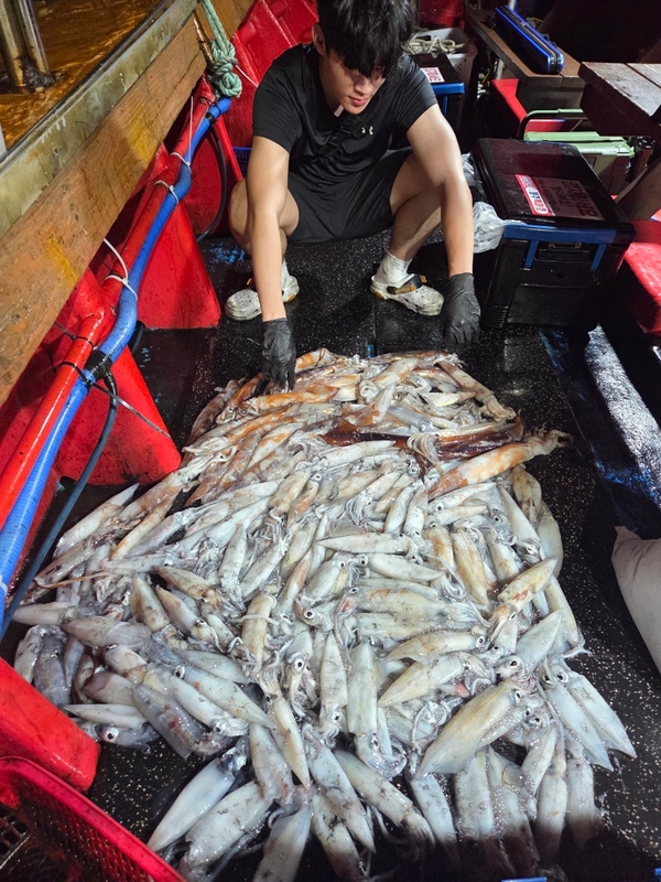 해당 선사를 대표하는 이미지