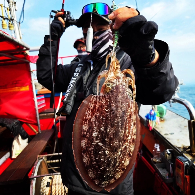 해당 선사를 대표하는 이미지