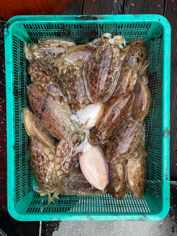 해당 선사를 대표하는 이미지