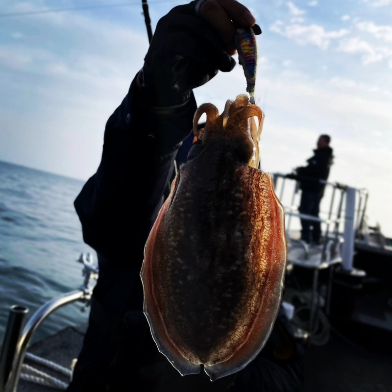 해당 선사를 대표하는 이미지