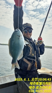 로즈마리호 선상흘림 조황 선상낚시로 잡은 물고기 조황