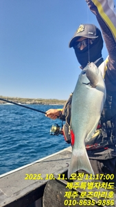 로즈마리호 흘림 호조황 선상낚시로 잡은 물고기 조황