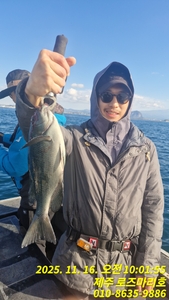 로즈마리호 흘림호조황 선상낚시로 잡은 물고기 조황