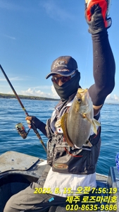 로즈마리호 초대박조황 선상낚시로 잡은 물고기 조황