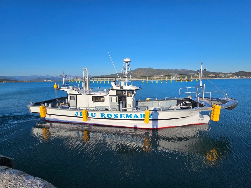 해당 선사를 대표하는 이미지