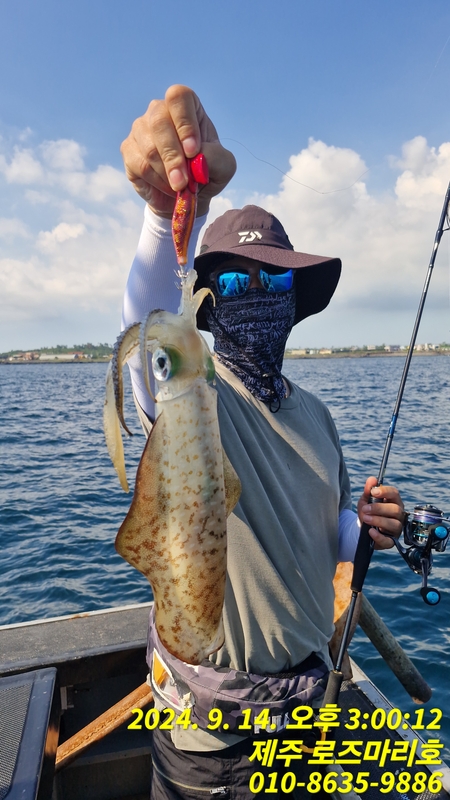 해당 선사를 대표하는 이미지