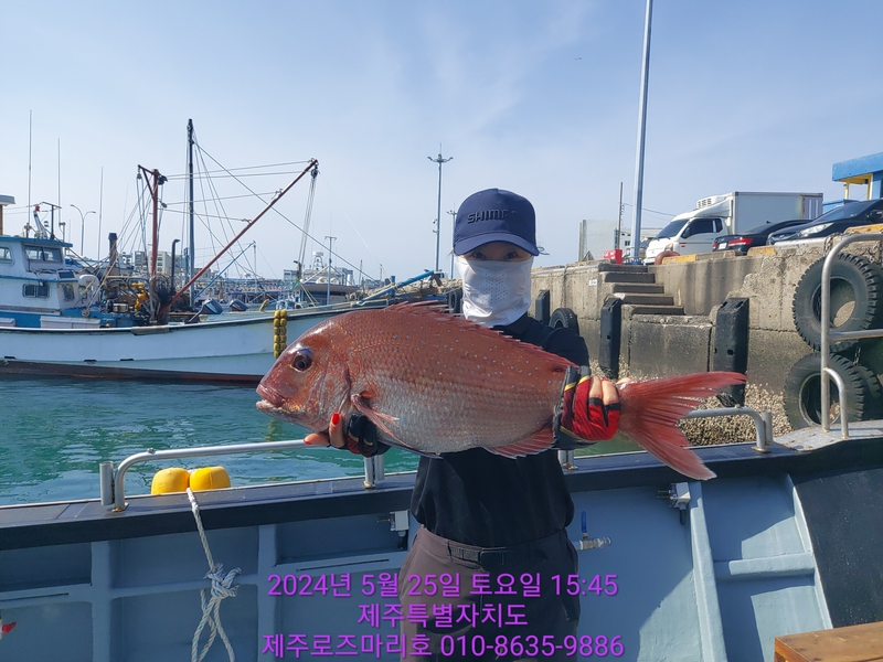 해당 선사를 대표하는 이미지