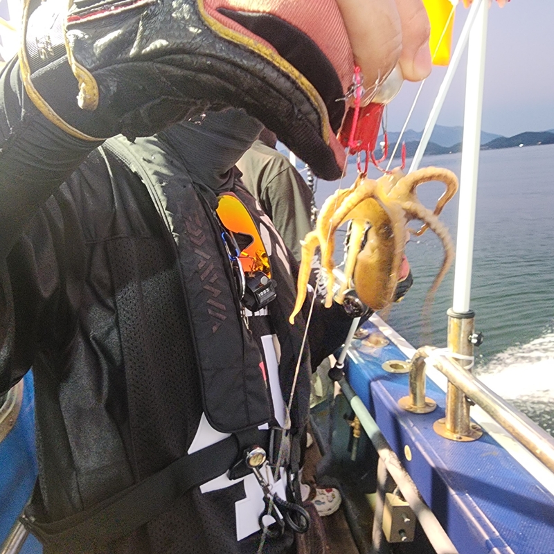 백곰호의 조황일지 이미지 - 2