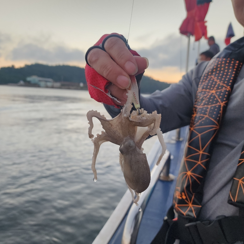 백곰호의 조황일지 이미지 - 5