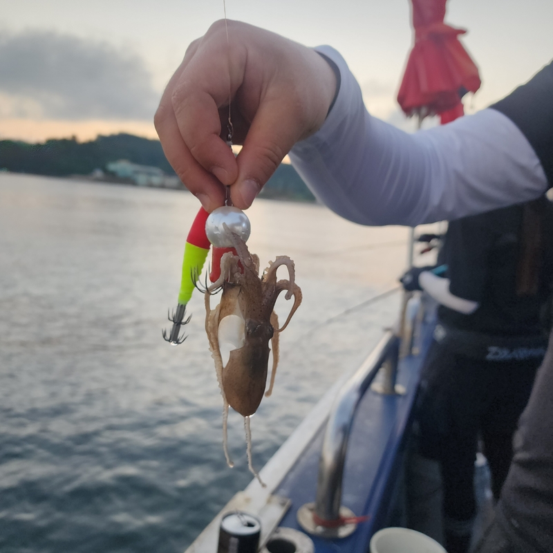 백곰호의 조황일지 이미지 - 7