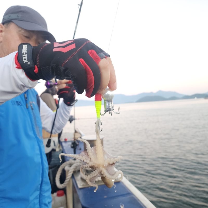 백곰호의 조황일지 이미지 - 6