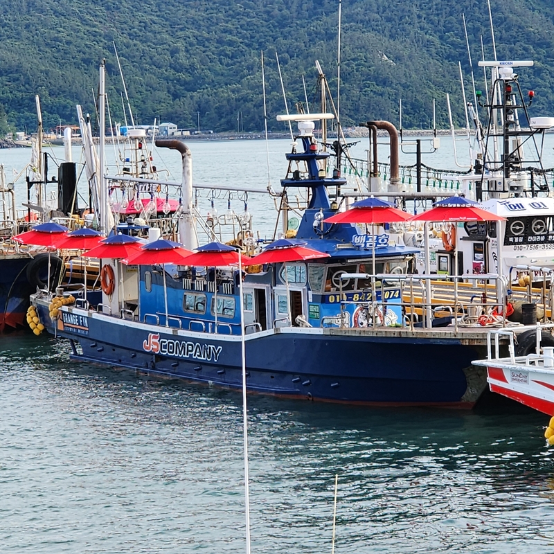 해당 선사를 대표하는 이미지