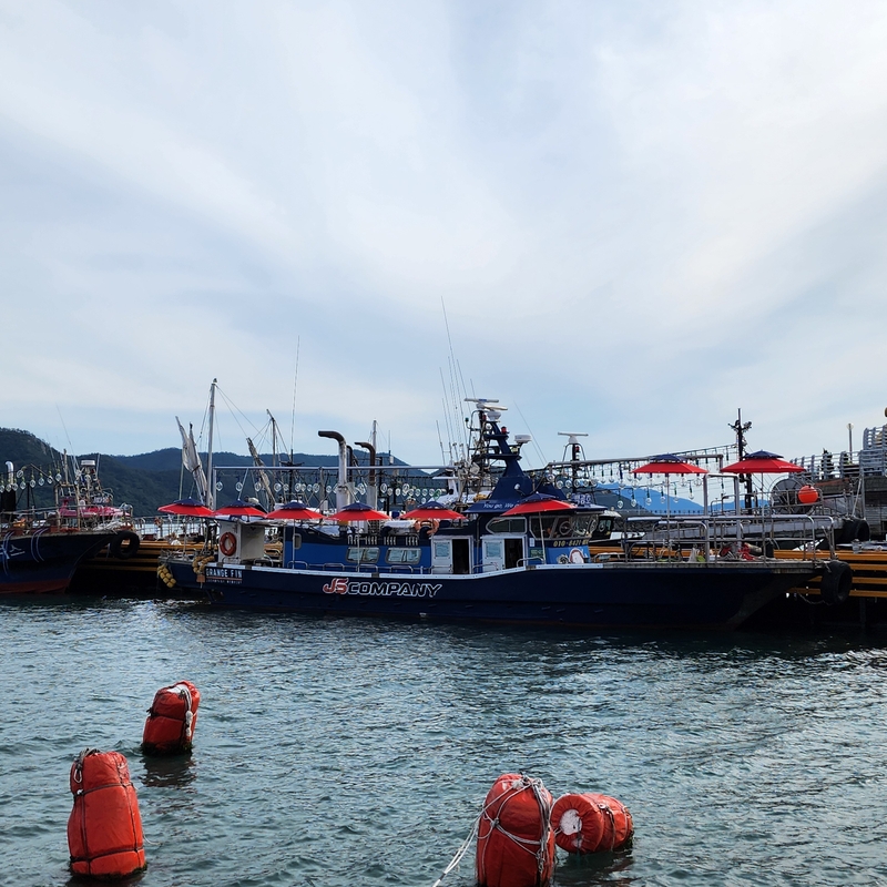 해당 선사를 대표하는 이미지