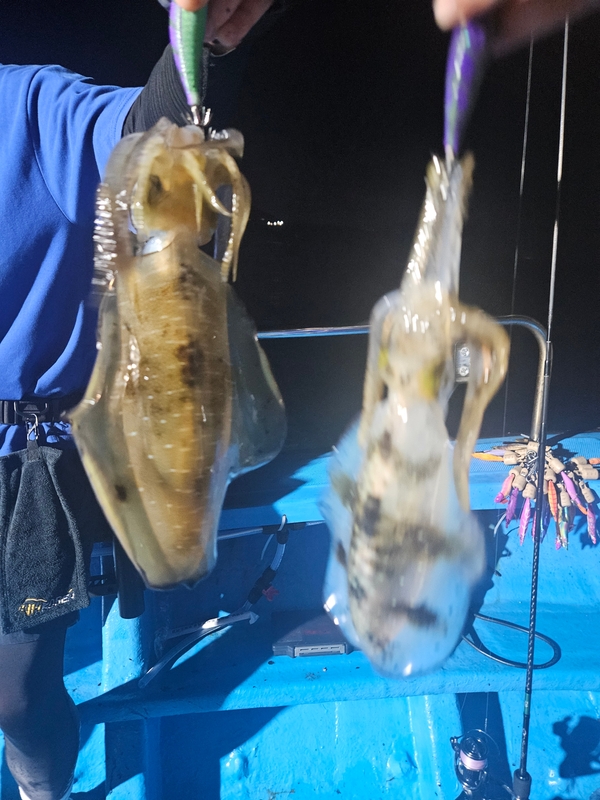 다원피싱의 조황일지 이미지 - 4