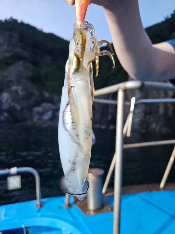 다원피싱의 조황일지 이미지 - 3