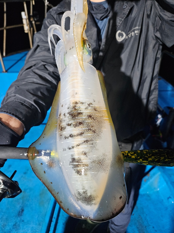 다원피싱의 조황일지 이미지 - 7