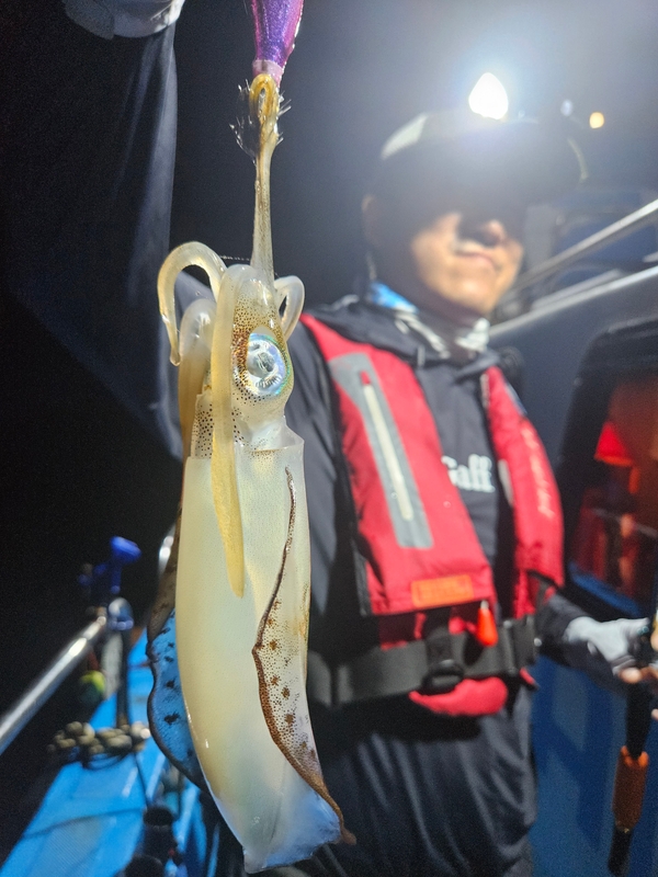 다원피싱의 조황일지 이미지 - 6