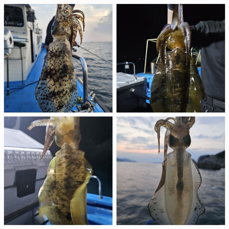 다원피싱의 조황일지 이미지 - 3