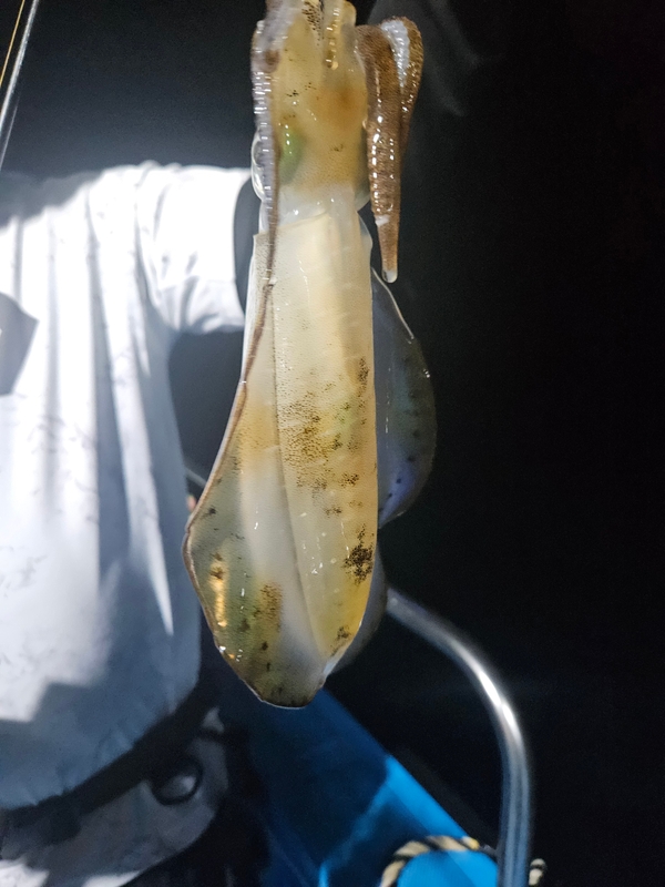 다원피싱의 조황일지 이미지 - 10