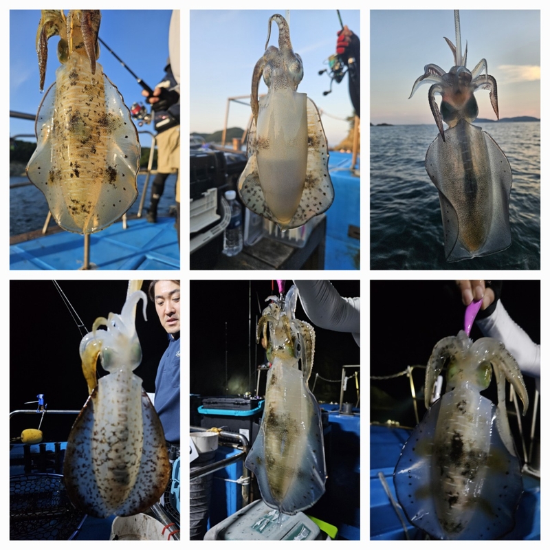 다원피싱의 조황일지 이미지 - 5