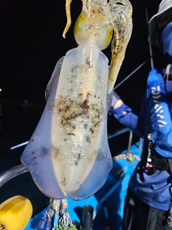 다원피싱의 조황일지 이미지 - 7