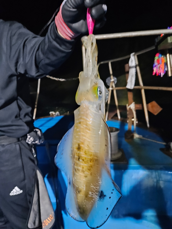 다원피싱의 조황일지 이미지 - 4