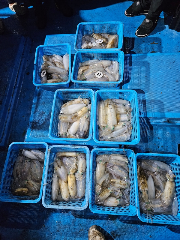 다원피싱의 조황일지 이미지 - 0