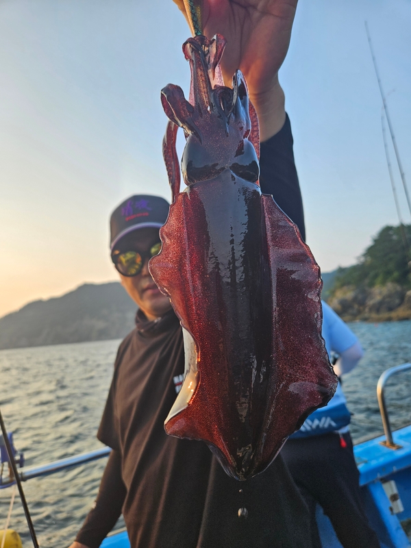 다원피싱의 조황일지 이미지 - 0