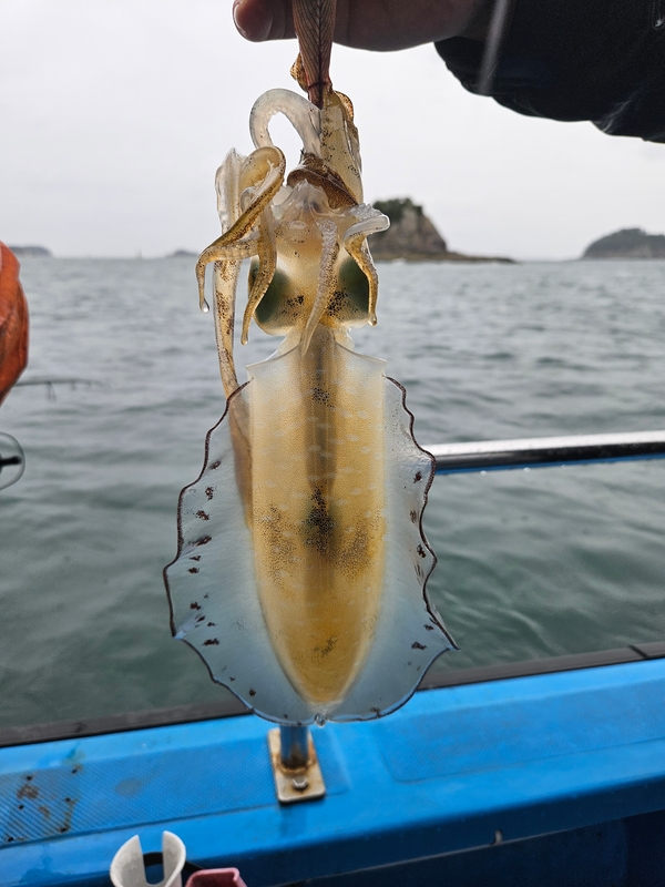 다원피싱의 조황일지 이미지 - 1