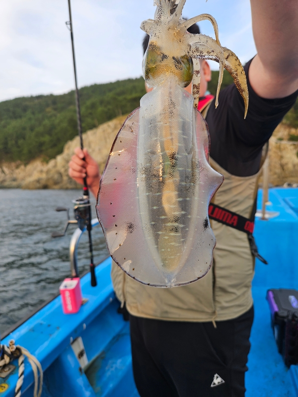 다원피싱의 조황일지 이미지 - 1