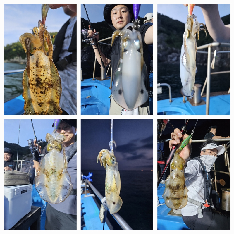 다원피싱의 조황일지 이미지 - 0