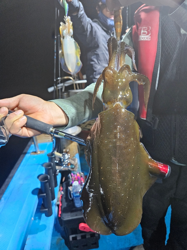 다원피싱의 조황일지 이미지 - 4