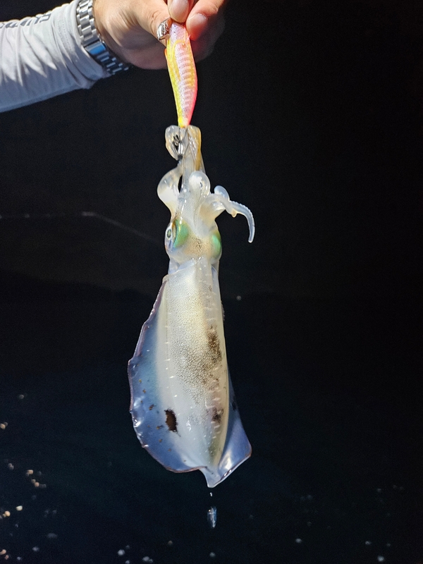 다원피싱의 조황일지 이미지 - 10