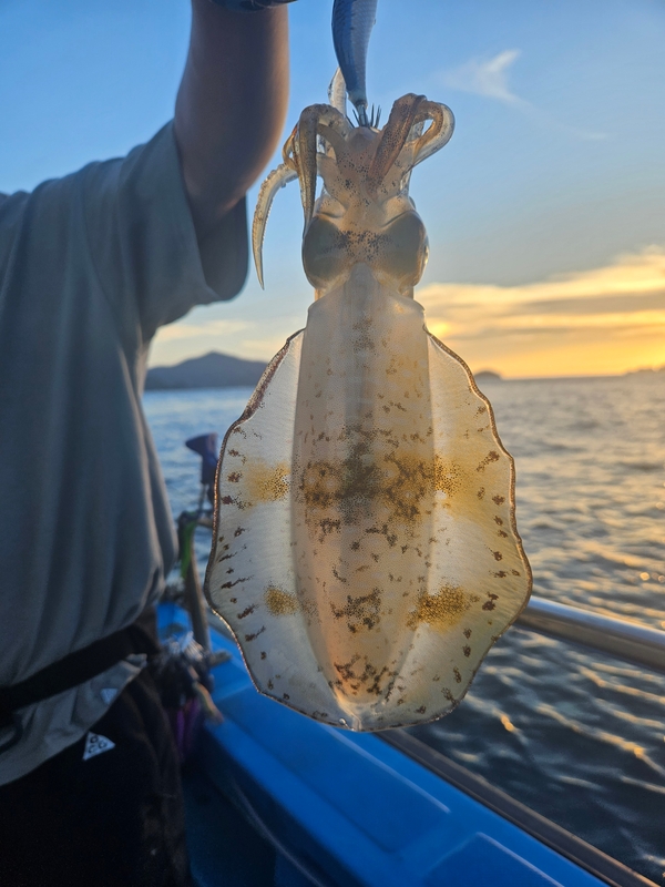 다원피싱의 조황일지 이미지 - 2