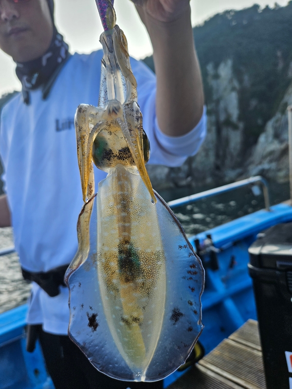 다원피싱의 조황일지 이미지 - 1