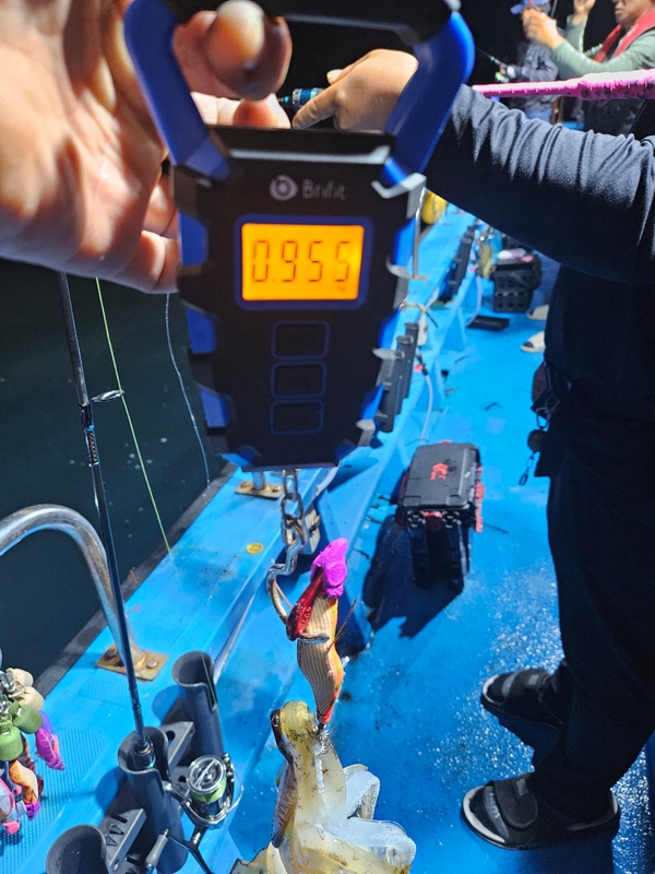 다원피싱의 조황일지 이미지 - 3