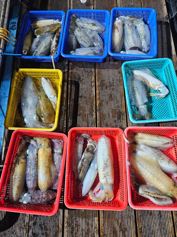 다원피싱의 조황일지 이미지 - 3