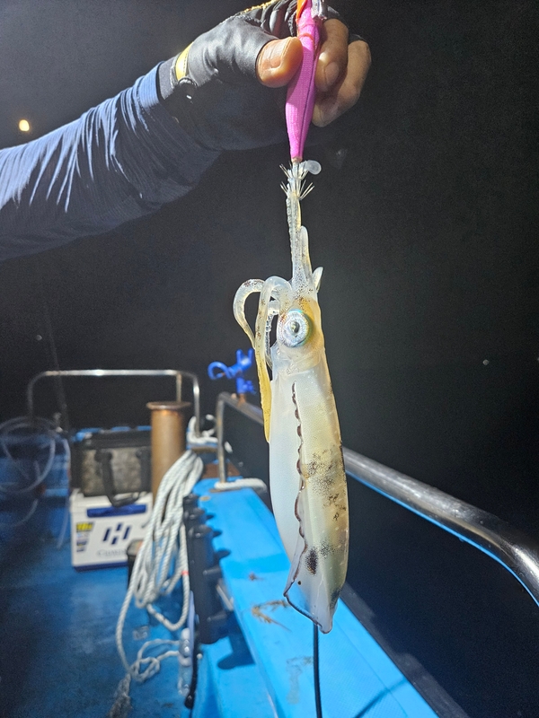 다원피싱의 조황일지 이미지 - 7