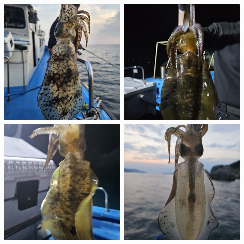 다원피싱의 조황일지 이미지 - 2