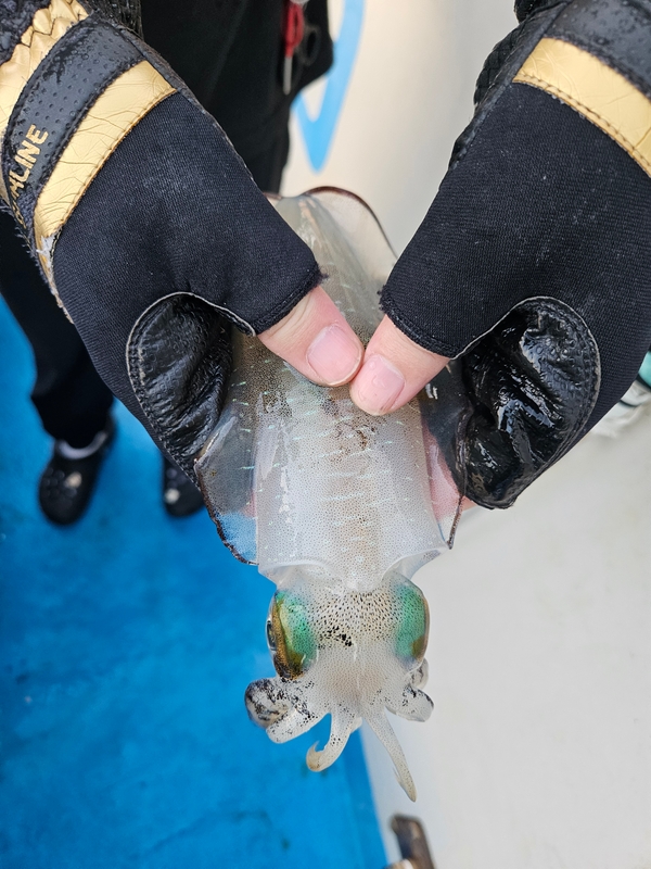 다원피싱의 조황일지 이미지 - 3