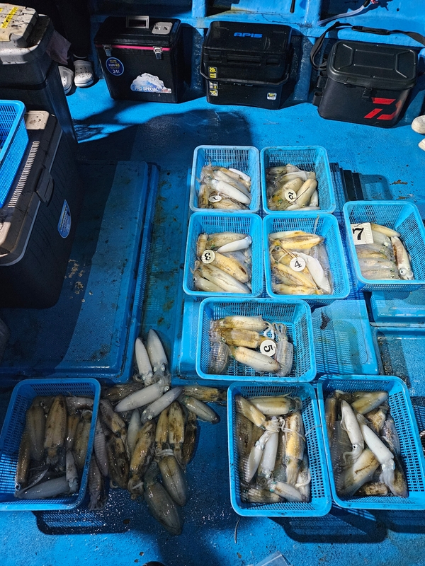 다원피싱의 조황일지 이미지 - 5