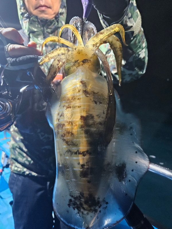 다원피싱의 조황일지 이미지 - 6