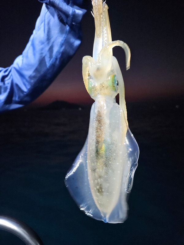 다원피싱의 조황일지 이미지 - 6