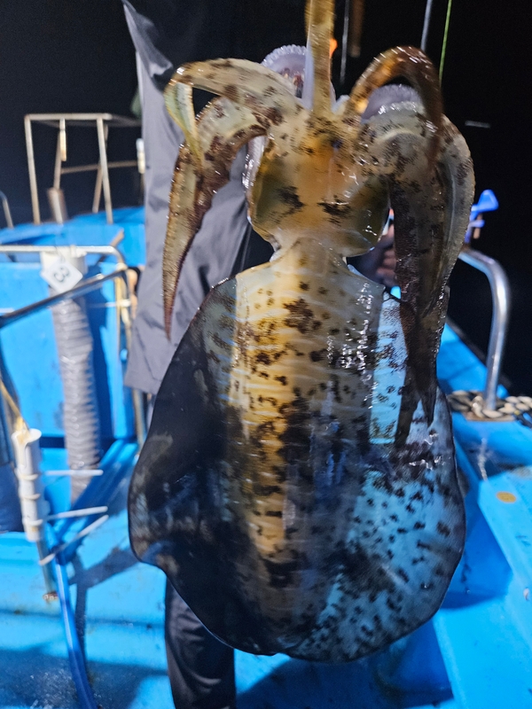 다원피싱의 조황일지 이미지 - 9