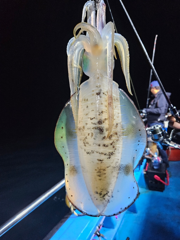 다원피싱의 조황일지 이미지 - 10